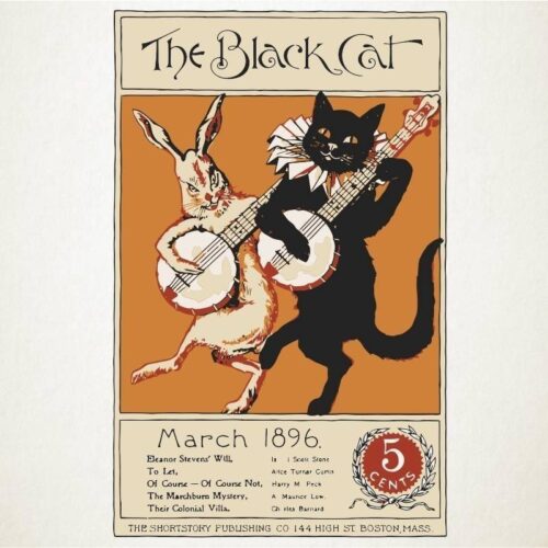 The Black Cat