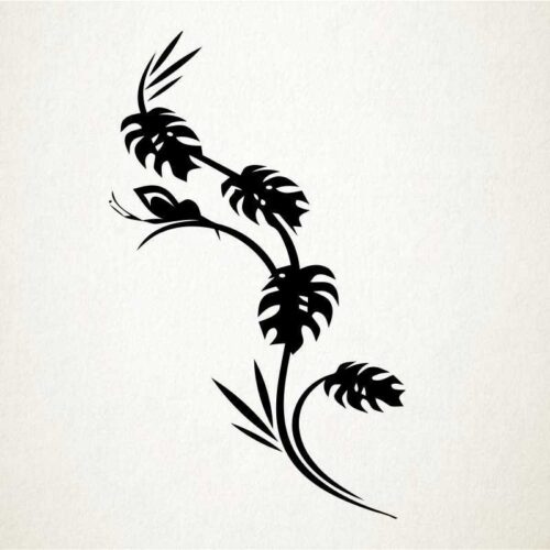 Planta tropical Planta tropical