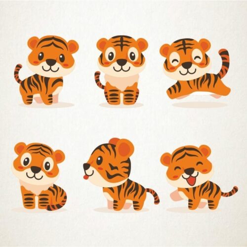 Bebes tigre