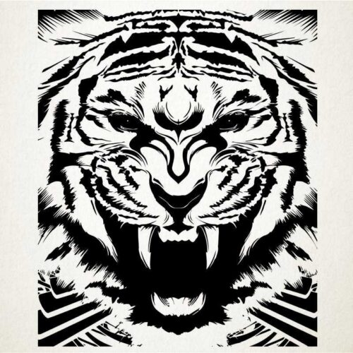 Tigre de bengashi Tigre de bengashi