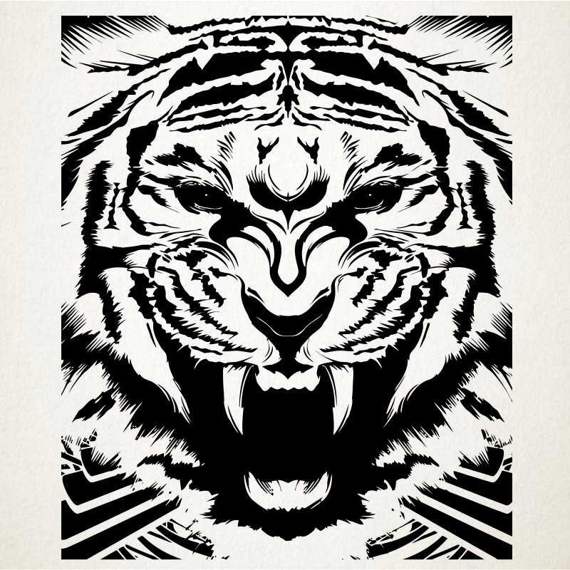 Tigre de bengashi Tigre de bengashi